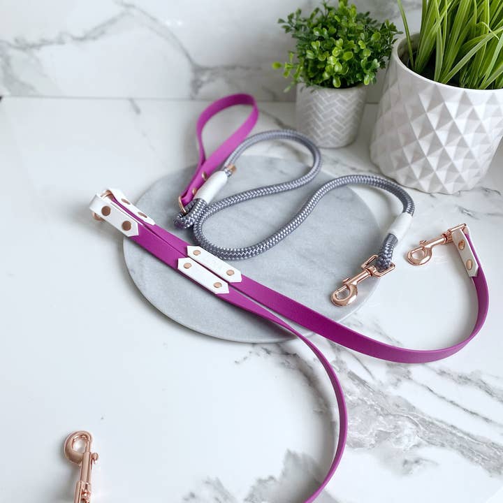 My Pawchella - Venta al por mayor Correa - Perros - Biothano/divisor de correas de colores6