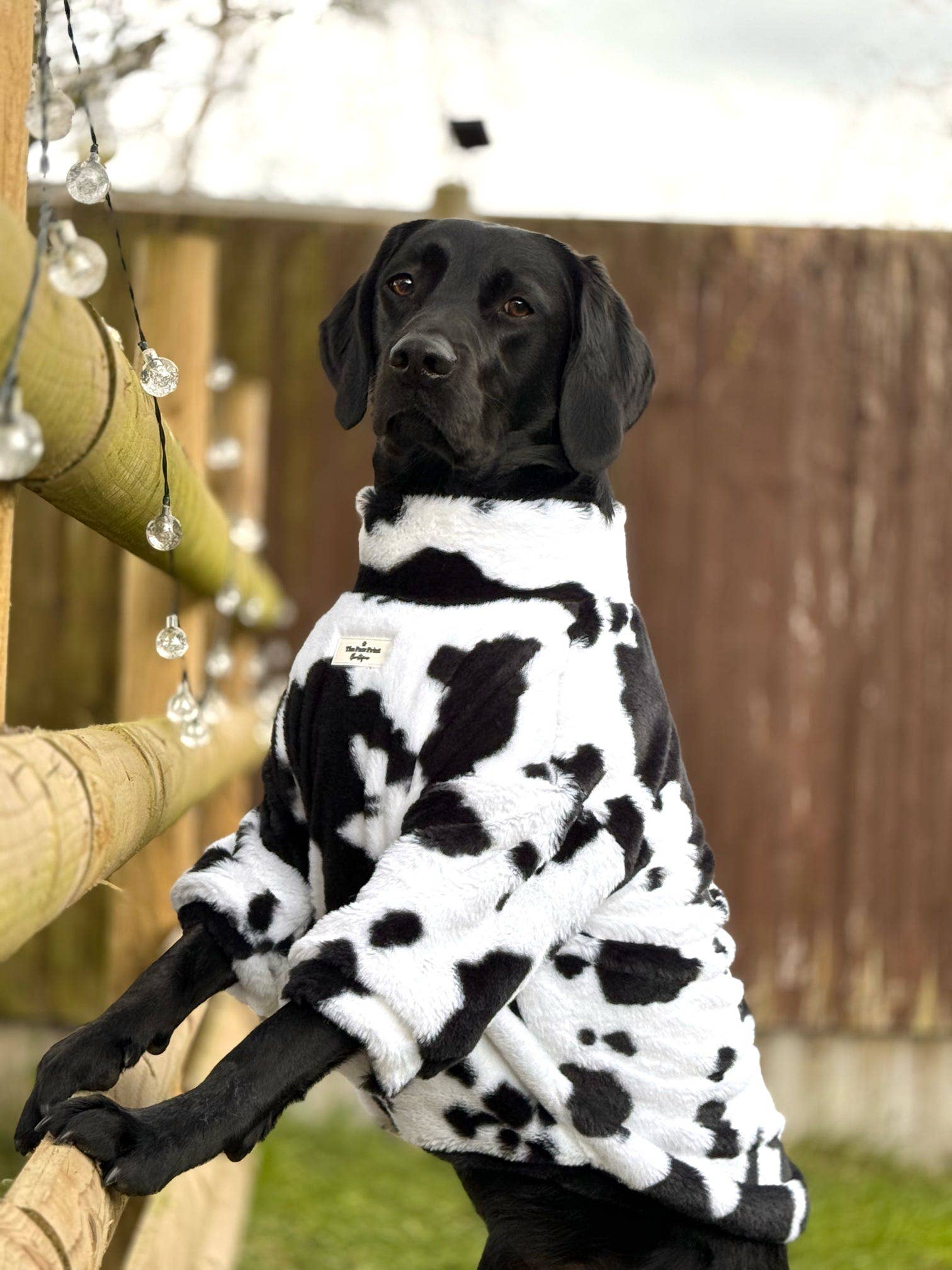 The Paw Print Boutique - Wholesale Pet Coat - Dog - The Cow Print Fluffy & Fabulous Fleece12
