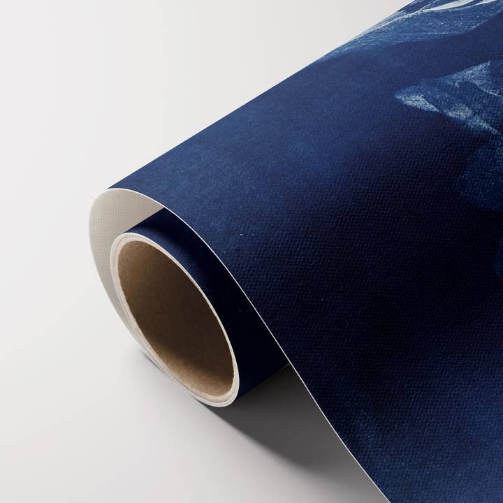 Wild Folklore by Alyson Brown - Wholesale Art Print - Anemone I - Fine Art Flower Print3