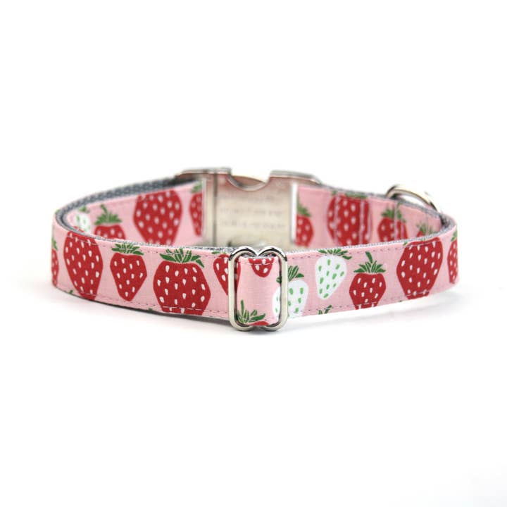 Collare per cani Strawberry - The Berry Sweet per la vendita all'ingrosso da parte di Dusidog