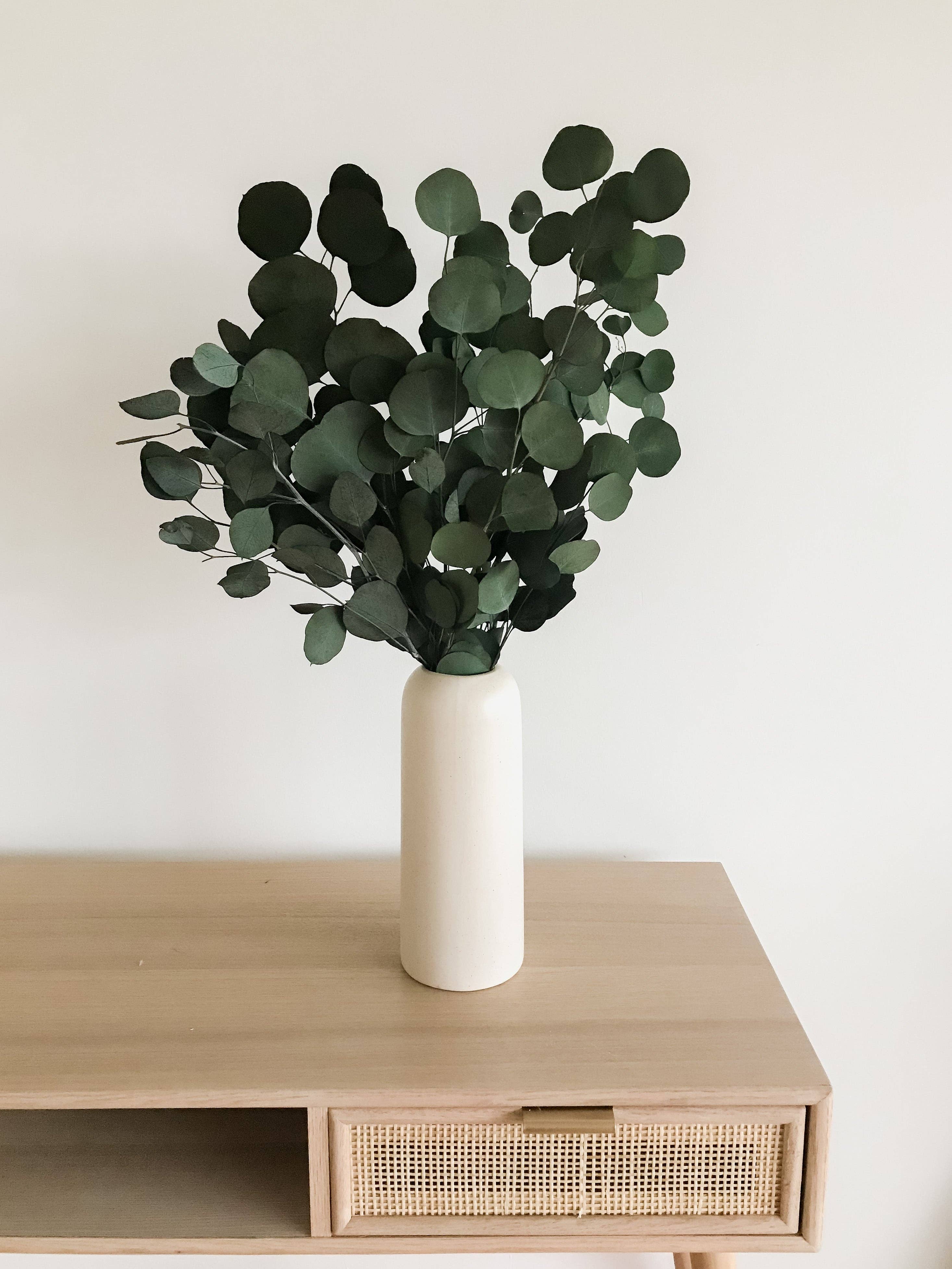 Fairmile Co. - Wholesale Dried/Pressed Flowers - Preserved Silver Dollar Eucalyptus3