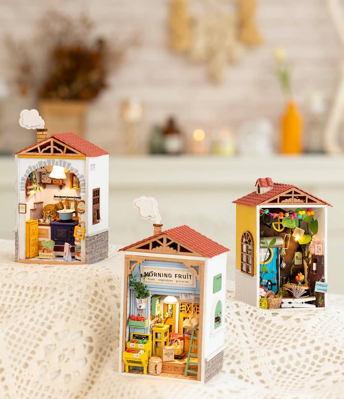 Hands Craft - Wholesale DIY Craft Kit - DIY Miniature House Kit: Borrowed Garden5