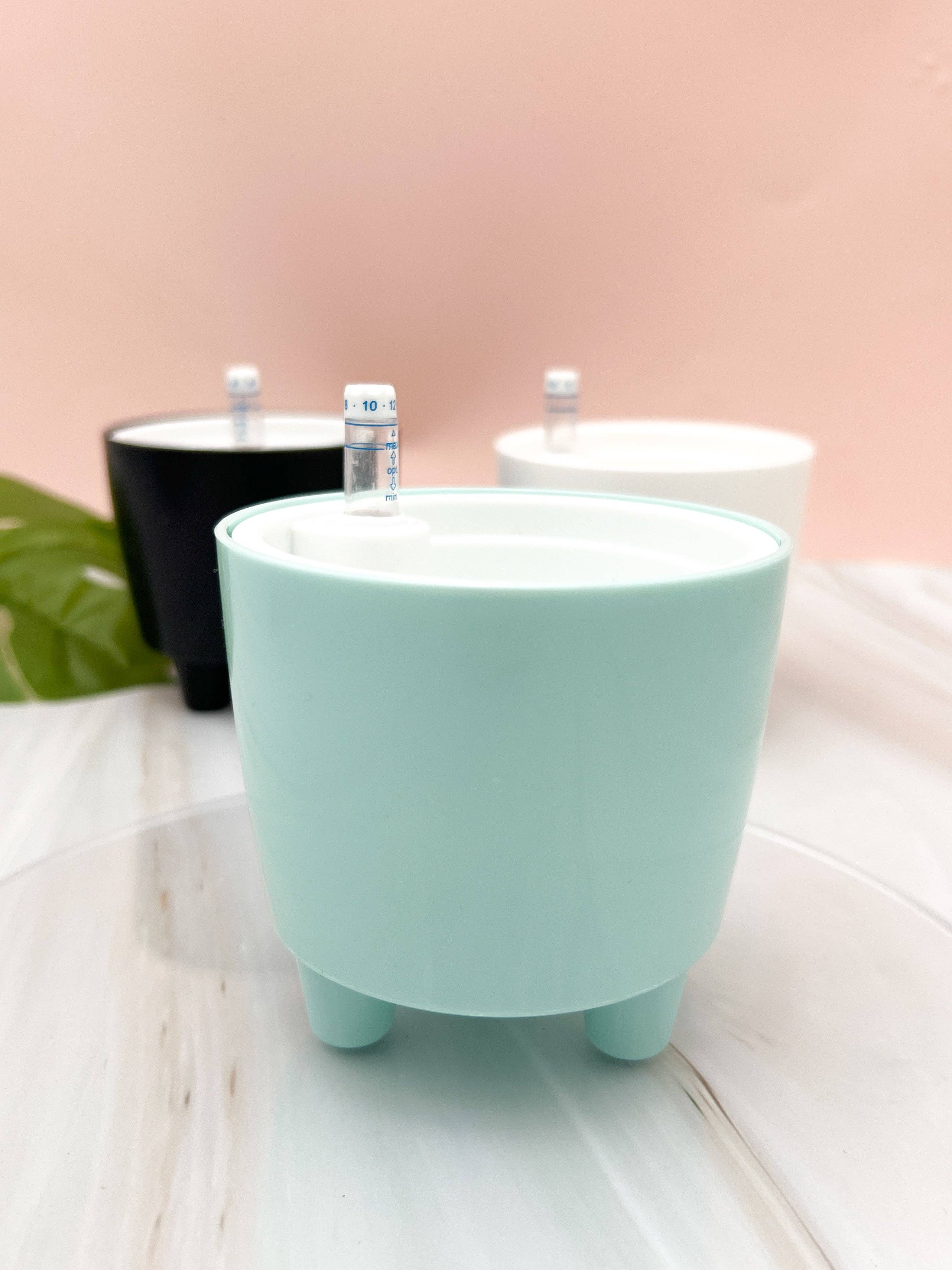 Propagation Diaries - Wholesale Plant Pot - 3” Self Watering Moo Pot6