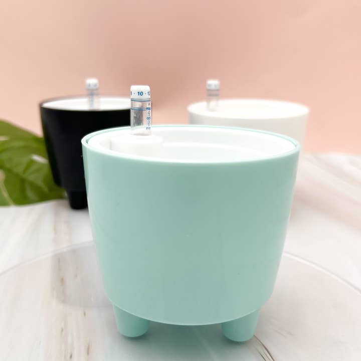 Propagation Diaries - Wholesale Plant Pot - 3” Self Watering Moo Pot6