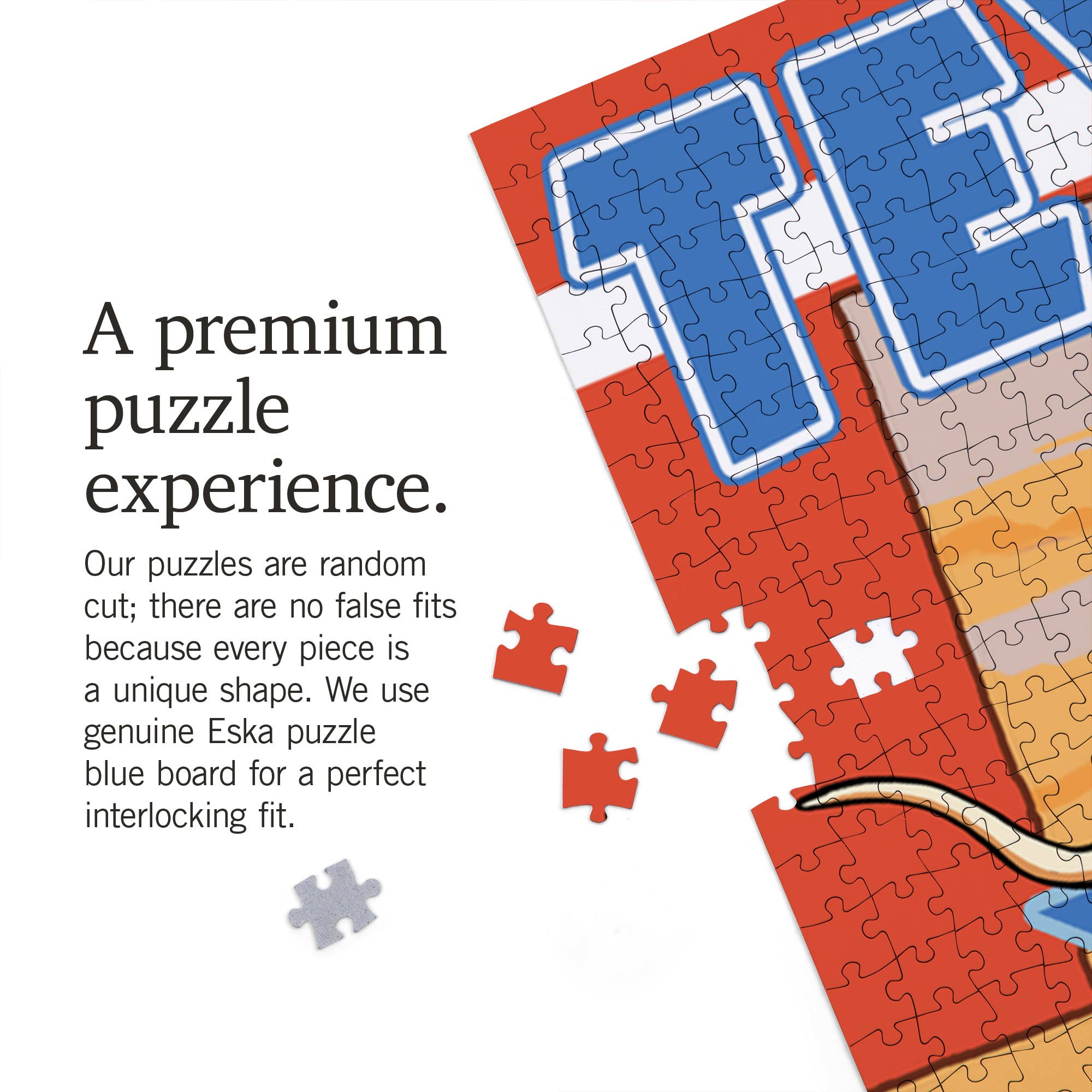 Lantern Press - Wholesale Puzzle - Adult - 1000 PIECE PUZZLE Texas, Longhorn Bull3