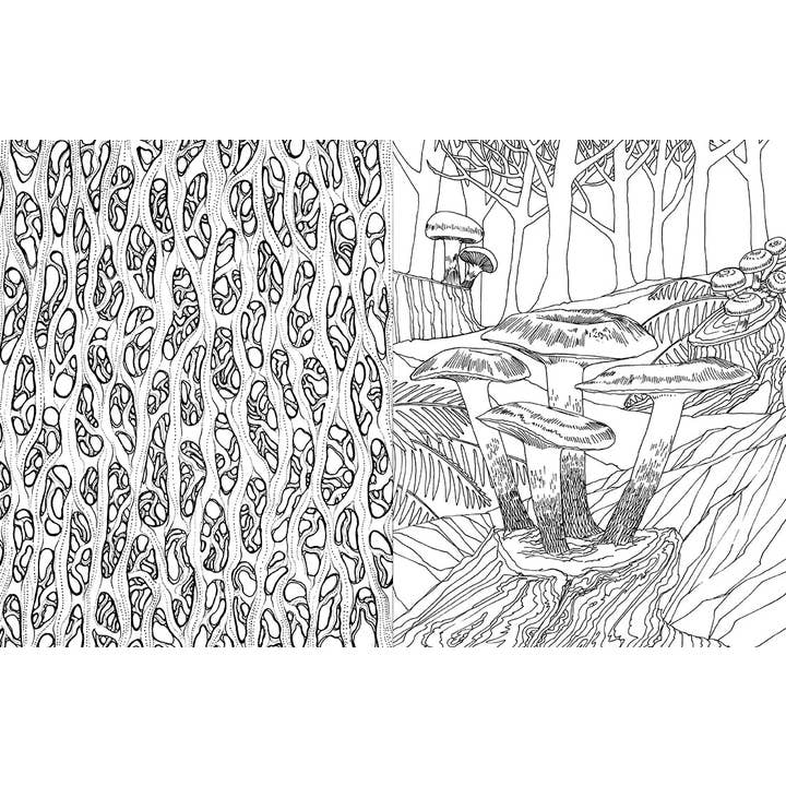 Insight Editions - Wholesale Coloring Book - Adult - Fantastic Fungi: The Coloring Book