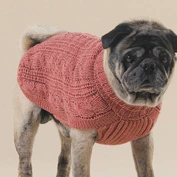 Maglione Eco Cable Red Rose per la vendita all'ingrosso da parte di Hot Dogz