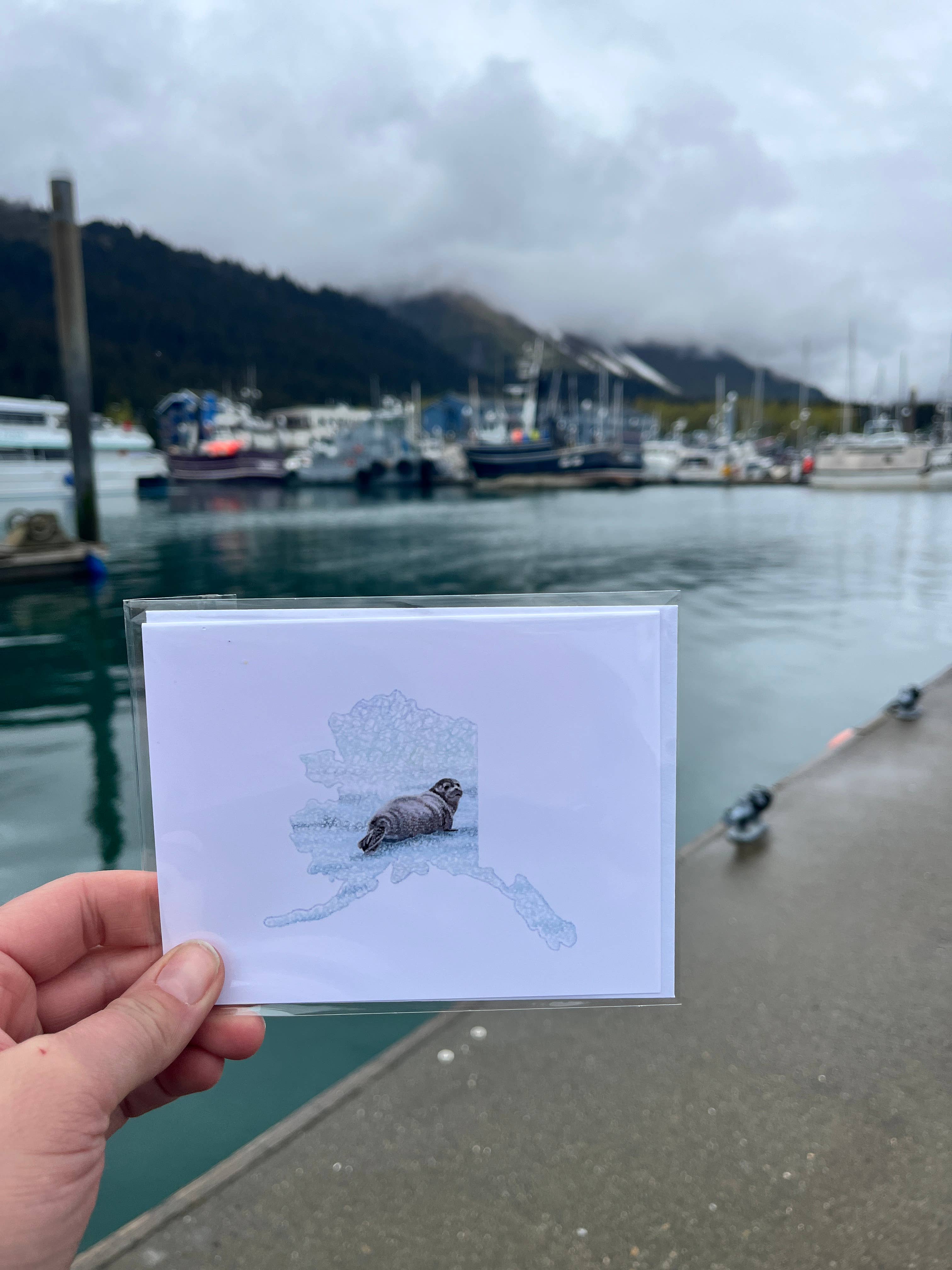 Sea Spray AK - Wholesale Everyday Greeting Card - Alaska State Seal Greeting Card, Harbor Seal, Stationary2