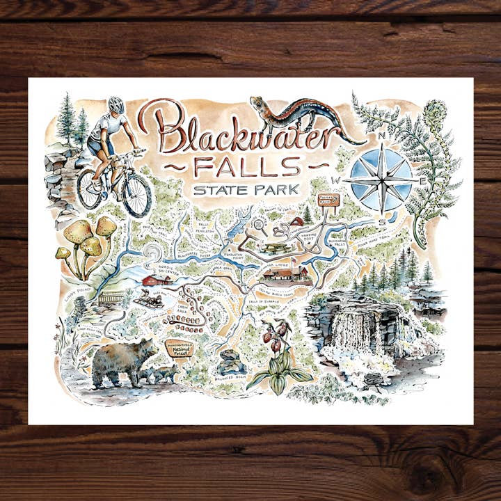Rosalie Haizlett Illustration - Wholesale Art Print - Blackwater Falls State Park Map - Watercolor Art Print