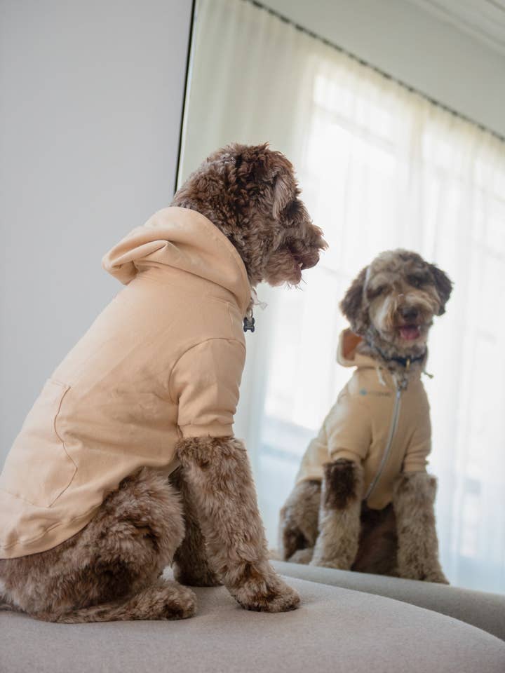 dexypaws - Wholesale Hoodie - Unisex - Hoodie - Beige