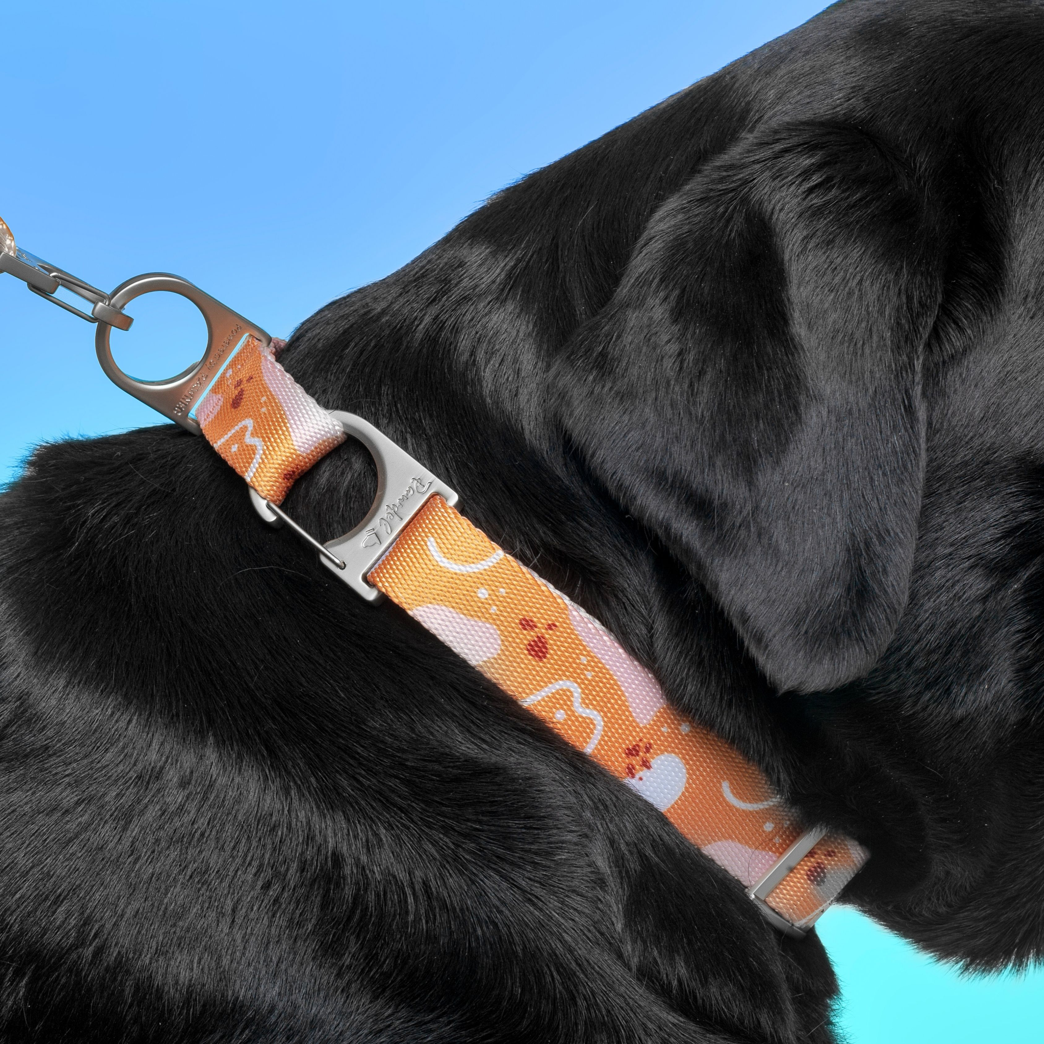 Pawnec - Wholesale Pet Collar - Cat/Dog - NeoCollar10