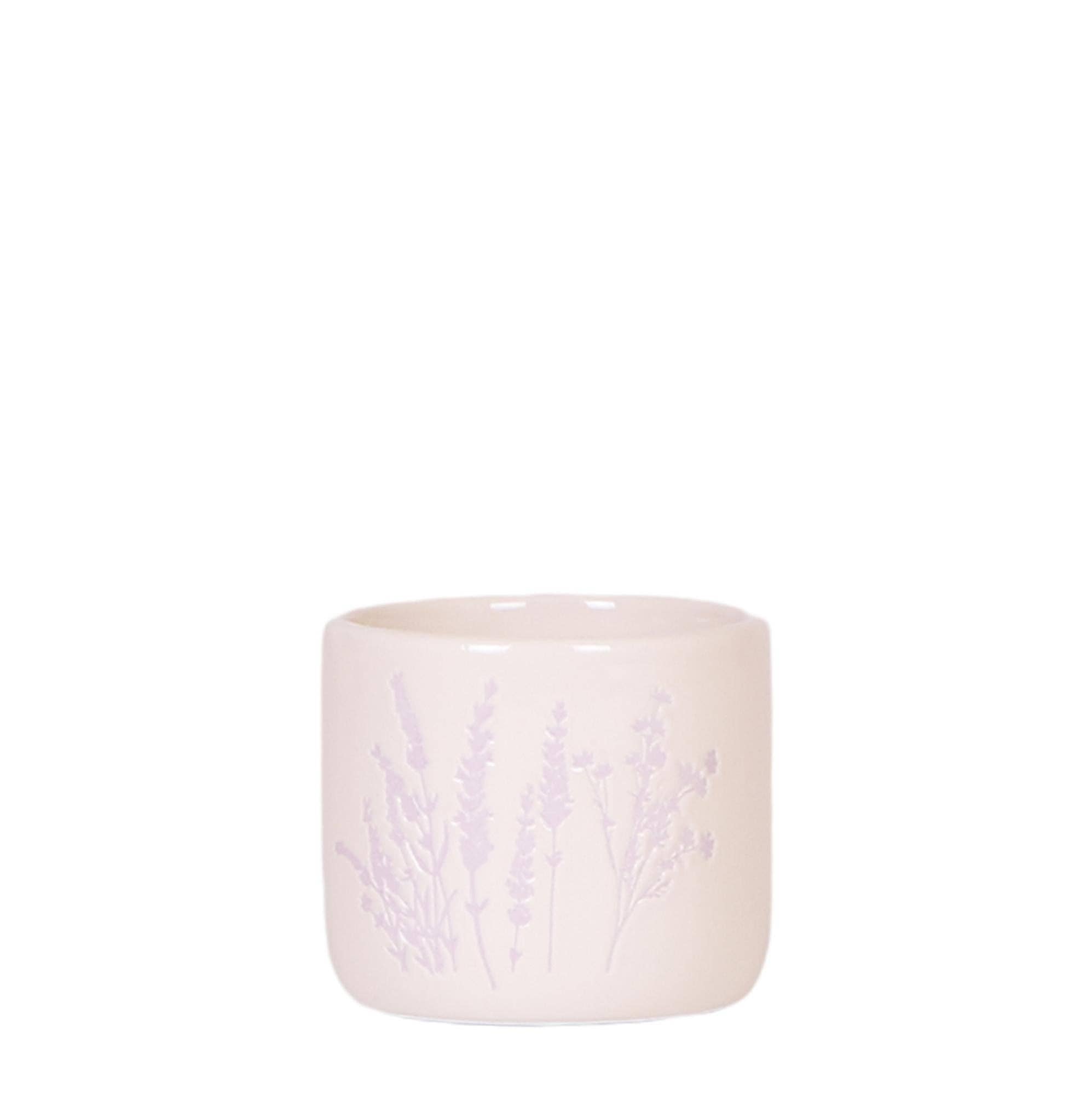 Oasis of Life - Vendita all'ingrosso Vasi per piante - Vaso di fiori Lavanda – Ø6 cm – Vaso decorativo per mini piante, succulente ed erbe aromatiche – Leggero e robusto – Vaso elegante in delicato viola per soggiorno, cucina e ufficio0