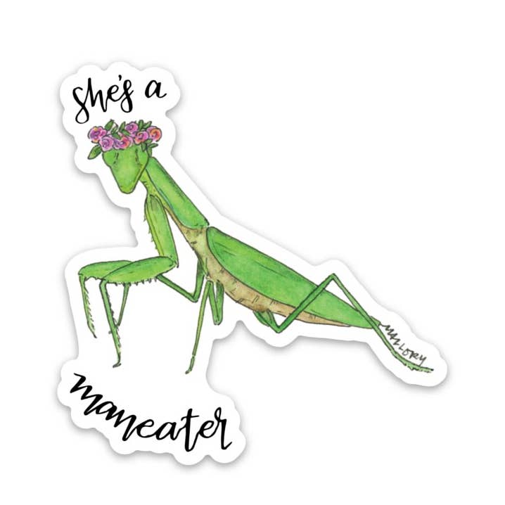 She's a Maneater Praying Mantis Vinyl Sticker for wholesale by Stem and Soul