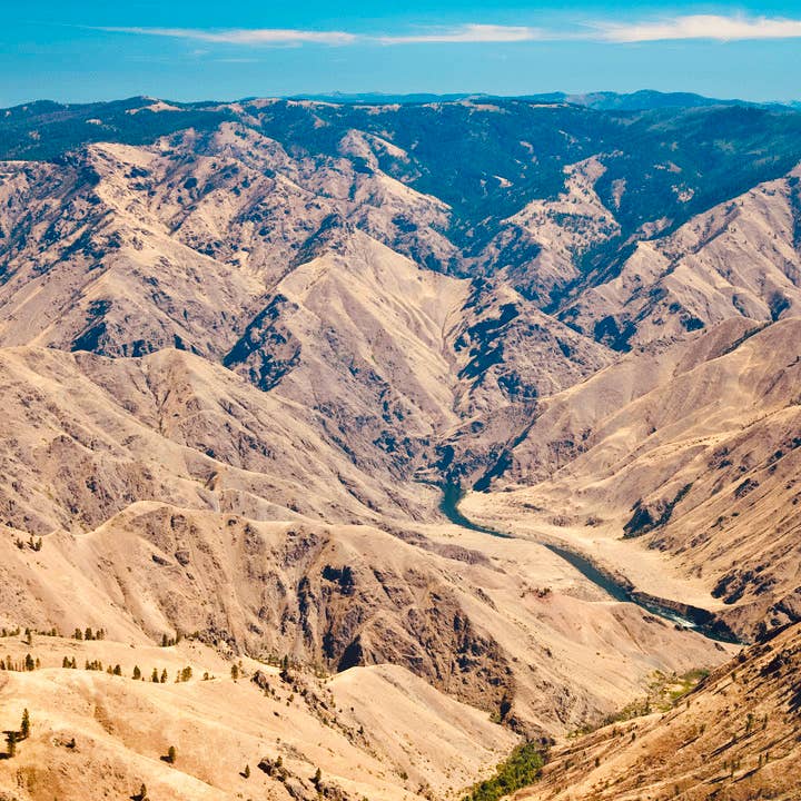 Touring Coffee Roasters - Wholesale Coffee Beans - Hells Canyon | Ethiopia | Medium Roast