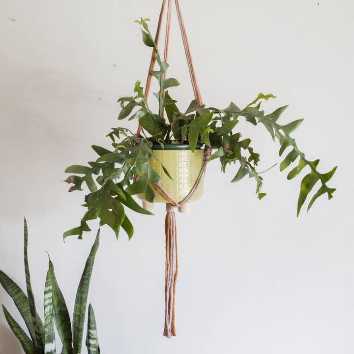 Modern Bo Studio - Wholesale Hanging Planter - Chunky Twist Plant Hanger - Multicolor