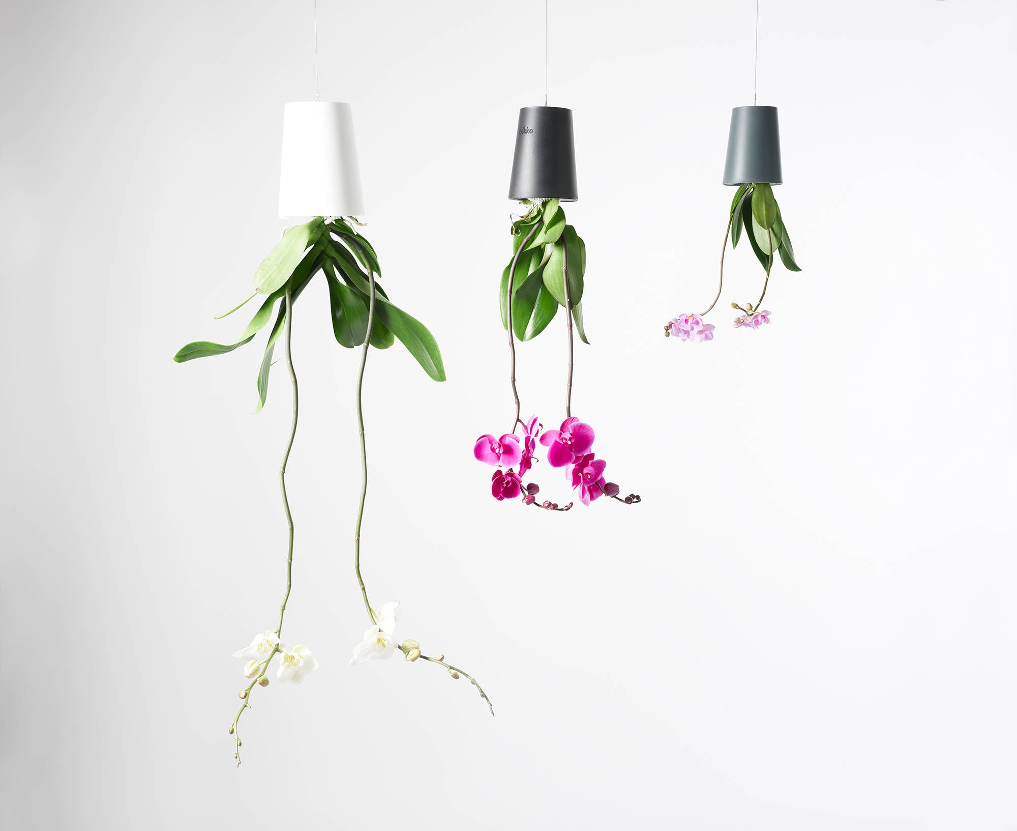 Boskke – Engroshandel Hængende plantekasse – Boskke Sky Planter Recycled - Lille - selvvandende plantepotte10