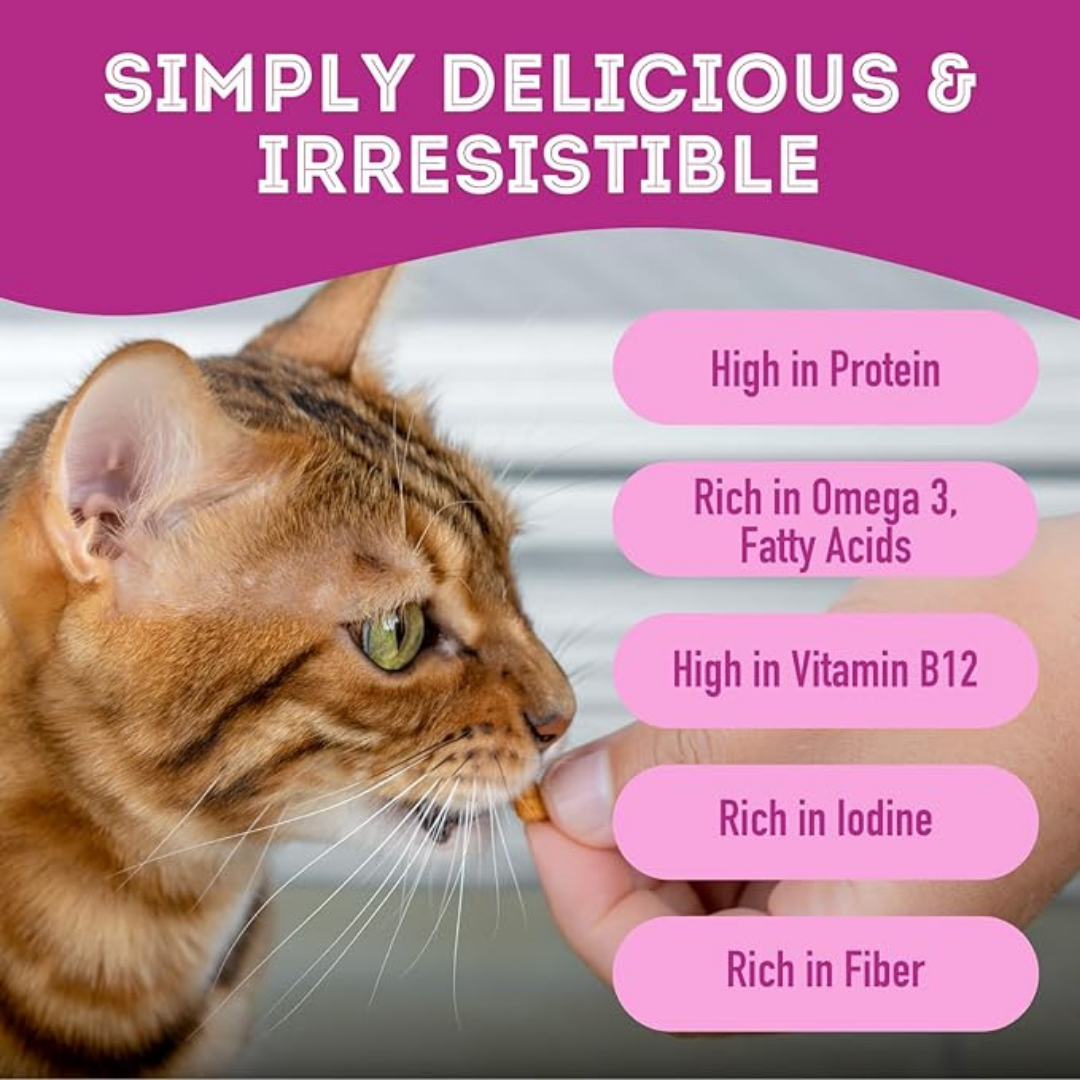 The Granville Island Pet Treatery (Canada) - Vente Friandises – chien - Friandises molles pour chiens à l'agneau et au varech : moelleuses et entièrement naturelles2