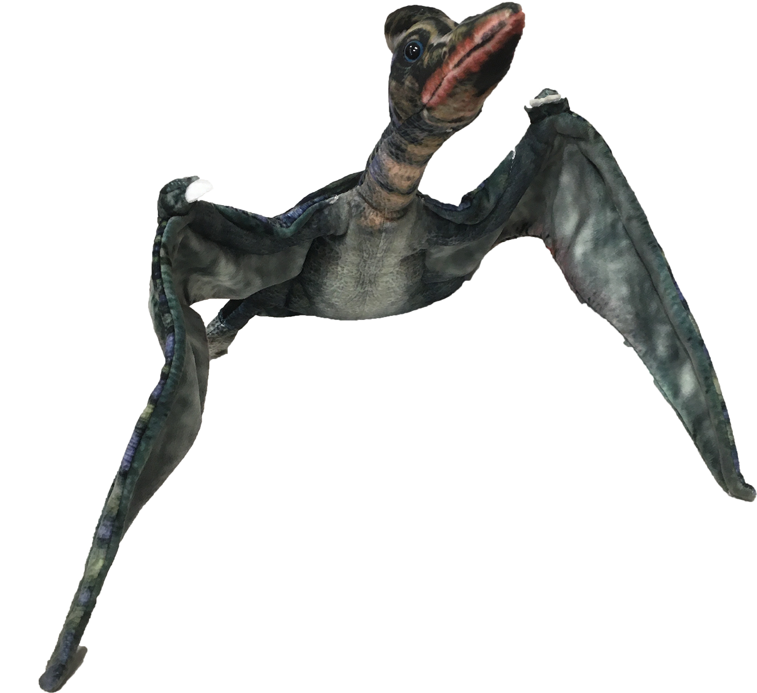 Texas Toy Distribution – wholesale Stuffed/plush toy – Kids & baby – 26" Pterosaur Dinosaur Plush Stuffed Animal3