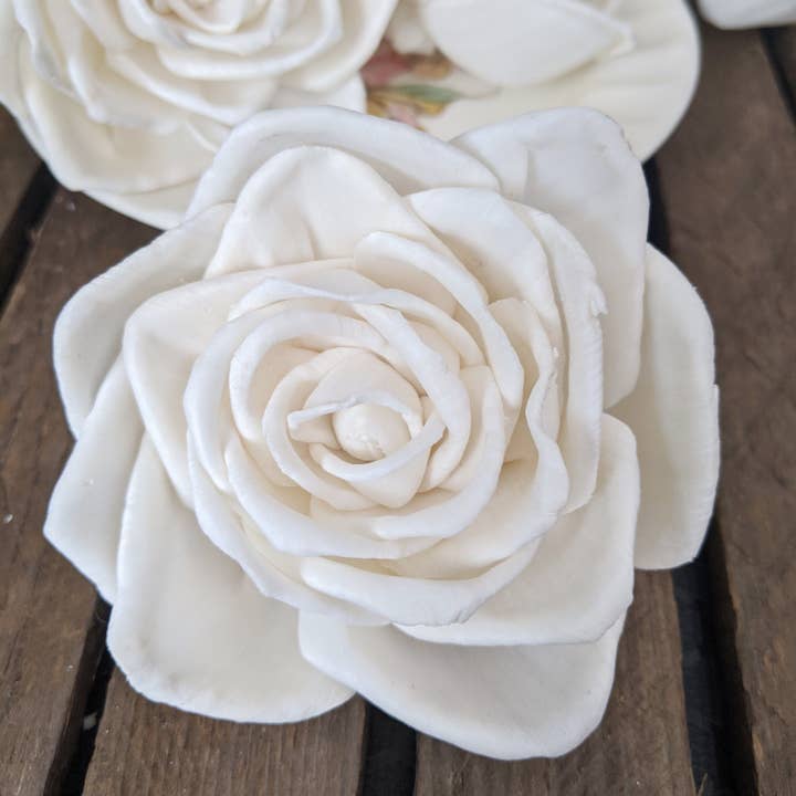 Oh You're Lovely - Wholesale Artificial Flowers - Thelma™ (sola wood flower) - set of 6 - 3 Inches1
