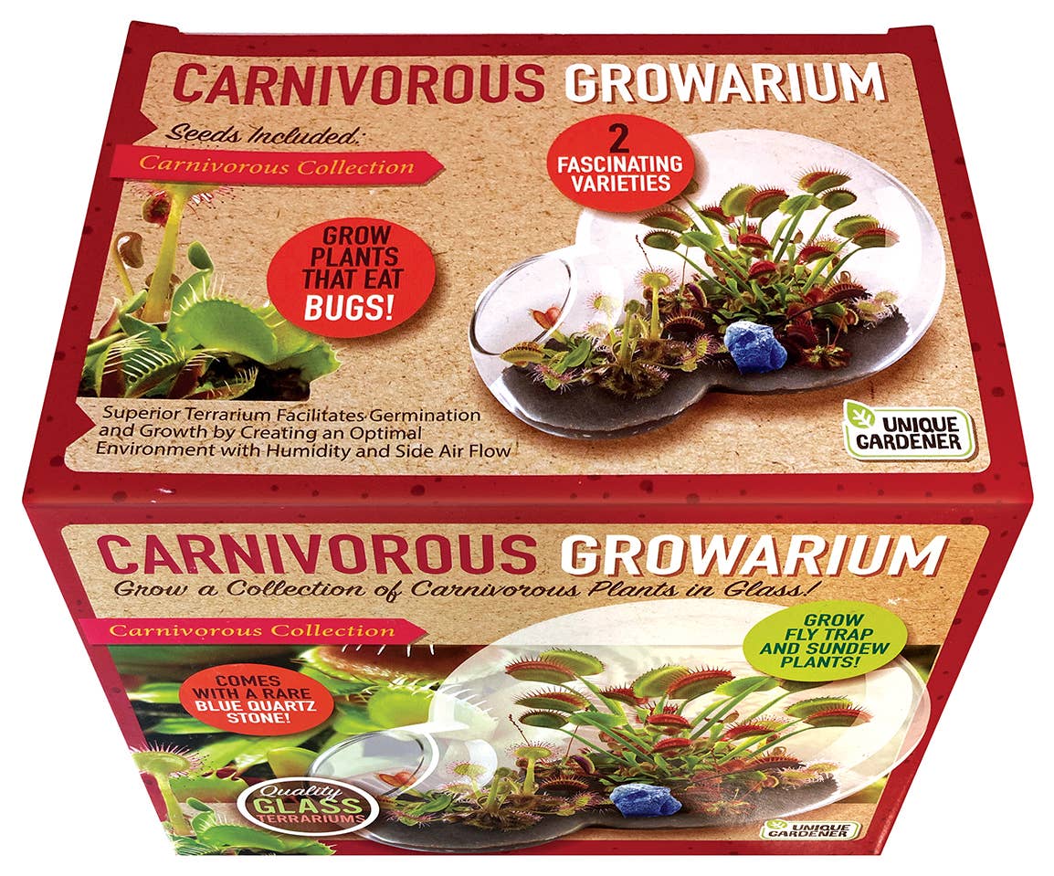 Silver Circle Products - Vente Terrariums - Terrarium en verre Carnivorous Growarium5