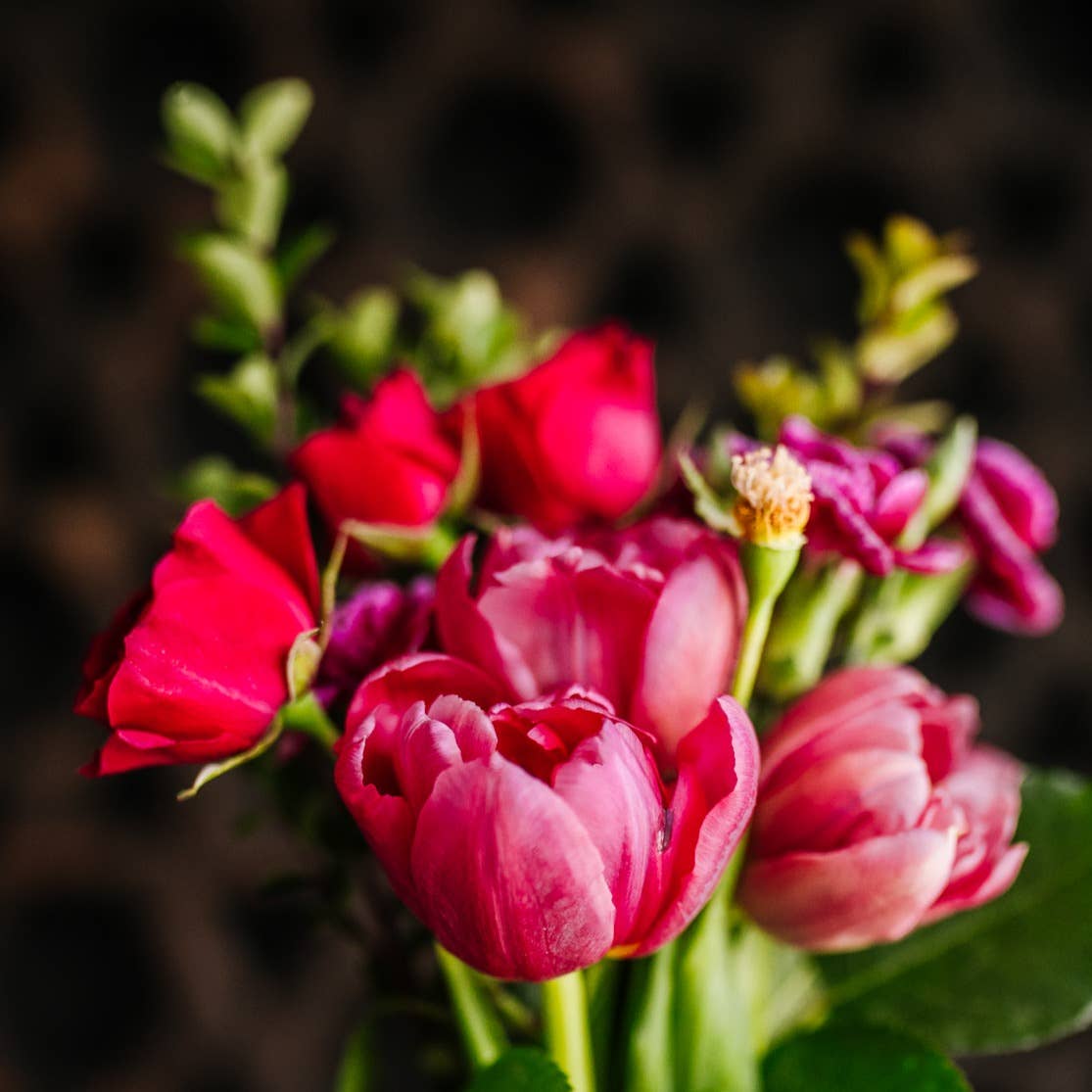 Viori Beauty - Wholesale Shampoo Puck/Solid Shampoo - Rice Water Shampoo Bar | Terrace Garden™ | Dry Hair1