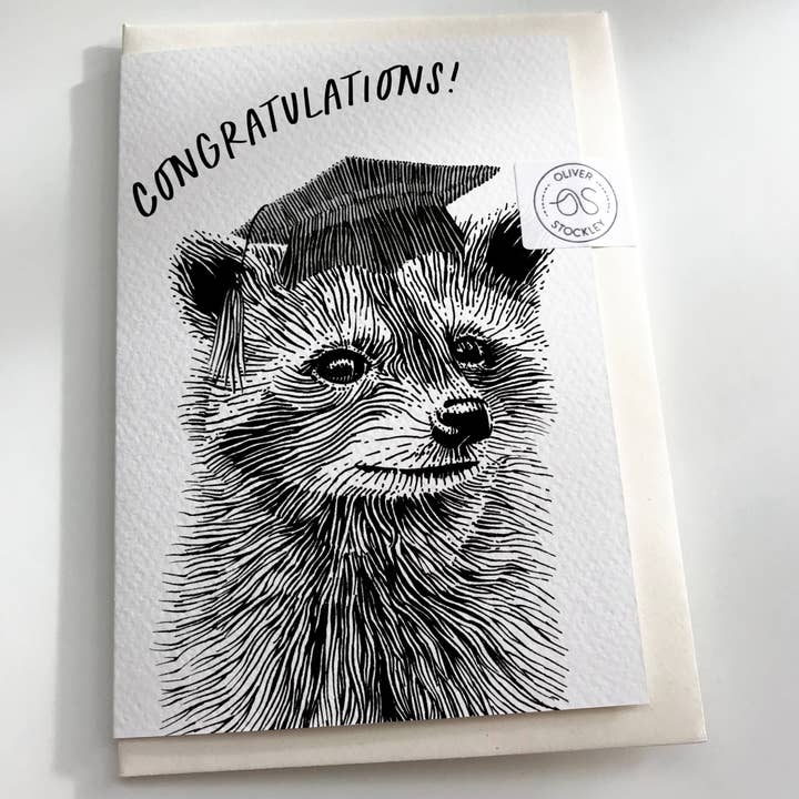Oliver Stockley - Wholesale Graduation Card - Graduation Raccoon Card1