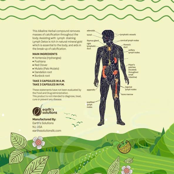 Earth's Solutions llc – Großhandel Nahrungsergänzungsmittel/Vitamin zum Einnehmen – Lymph Detox Kräuterkapseln
