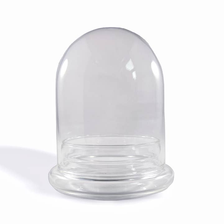 bloomify - Wholesale Terrarium - Bloomify Glass Large Dome – 3.5 x 3.5 x 4.3 Inches – Premium Anti-Fog Glass Cloche Bell Jar with Base - Perfect for Home Decor, Tabletop Displays, Terrariums, and Creative Projects (No Plants)4