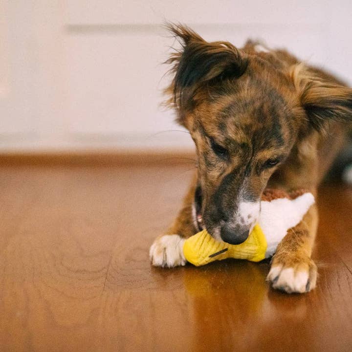 Only An Ocean Europe - Wholesale Pet Plush Toy - Dog - P.L.A.Y Snack Attack Swirls n' Slobbers Soft Serve3