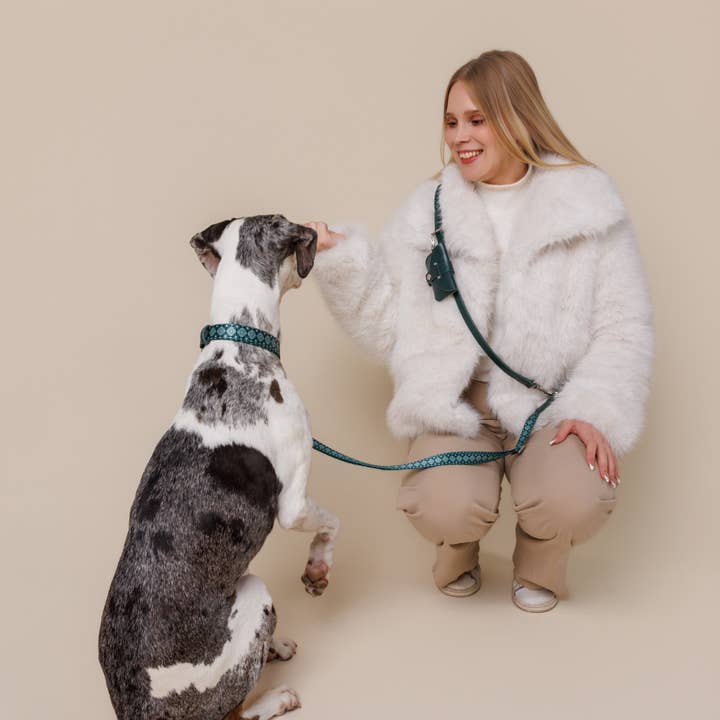 Multifunktions-Hundeleine - Waldjuwelen für den Großhandel von Minla