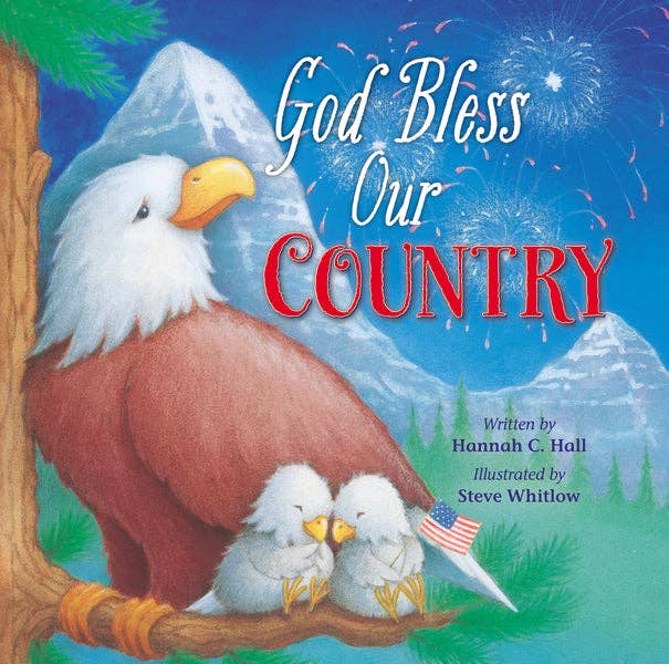HarperCollins Christian Publishing - Wholesale Baby & Toddler Book (0-2) - God Bless Our Country0