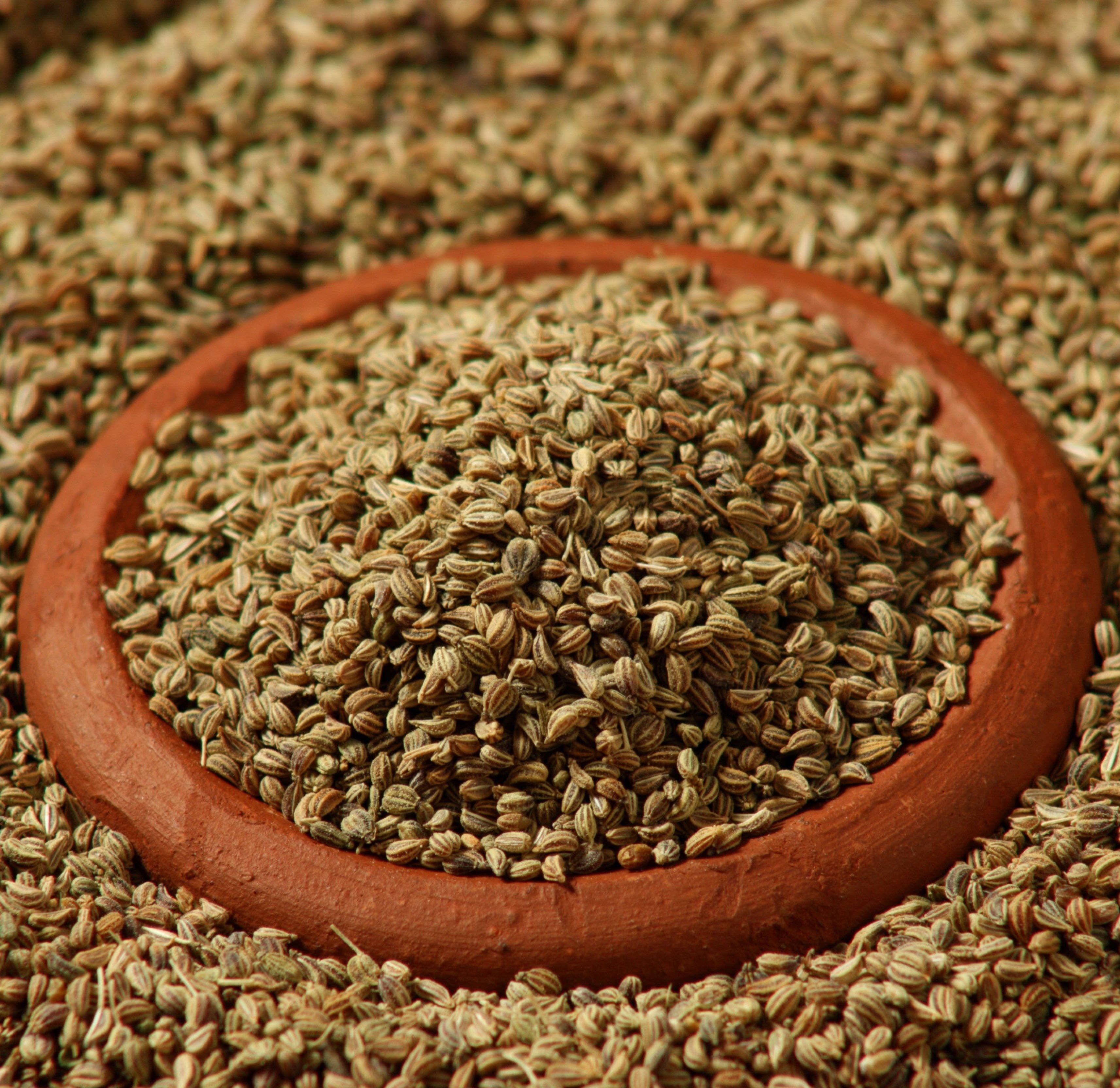 Nature Kitchen Co Ltd - Wholesale Dried Spice - Celery Seeds1