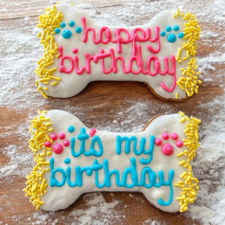 YumYum4DOGS - Wholesale Pet Treats - Dog - 6 inch Vibrant Barkday bones dog treats1