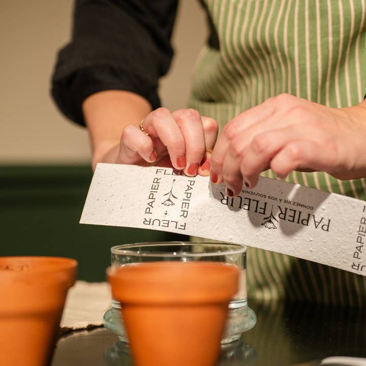 Papier Fleur - Wholesale Mother's Day Card - Plantable card Mother's Day, Happy Mother's Day Mom3