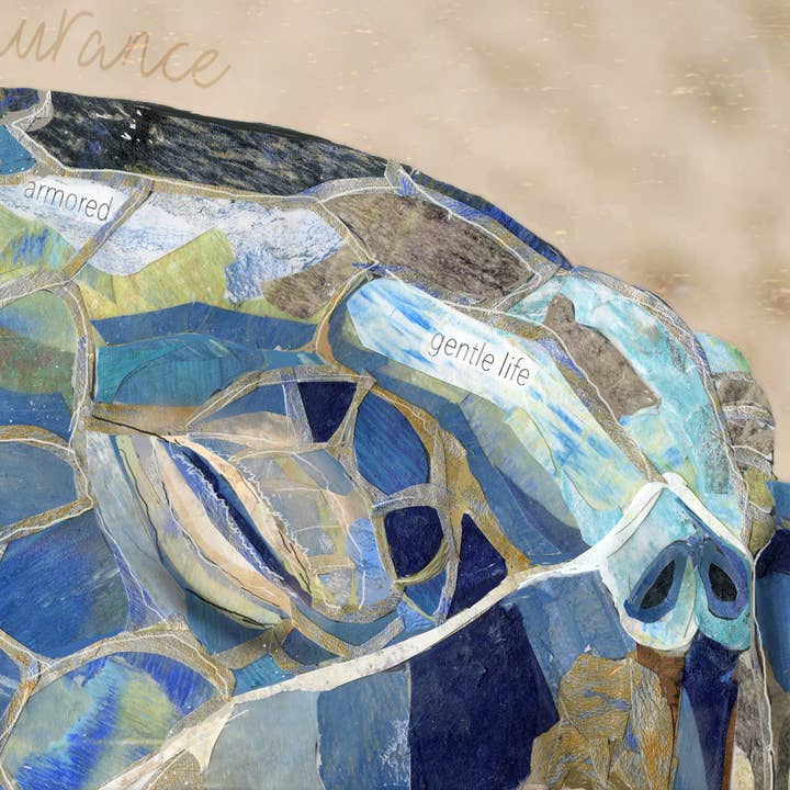 Found & Rewound - Wholesale Art Print - Sea Turtle - print2