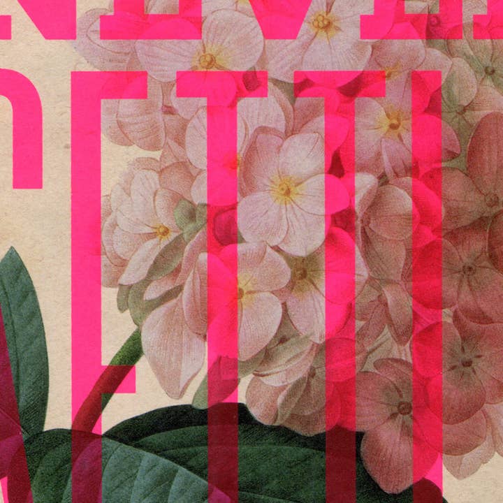 Basil & Ford – wholesale Art print – Never Settle Petal - A4 Screen Print2