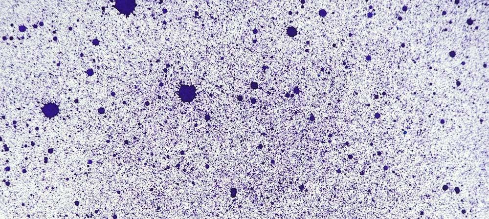 Ecstasy Crafts Distributing - Wholesale Craft Supplies - Cosmic Shimmer Airless Mister19