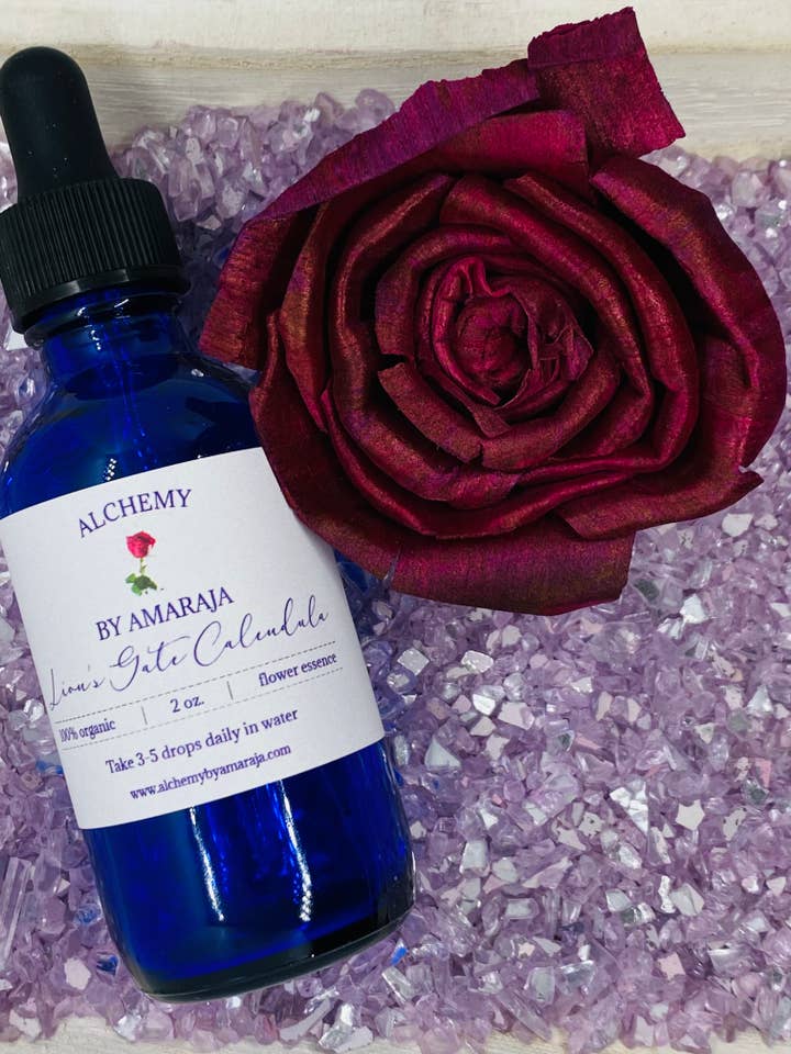 Lion's Gate Calendula Essence 2oz for wholesale by Alchemy by Amaraja