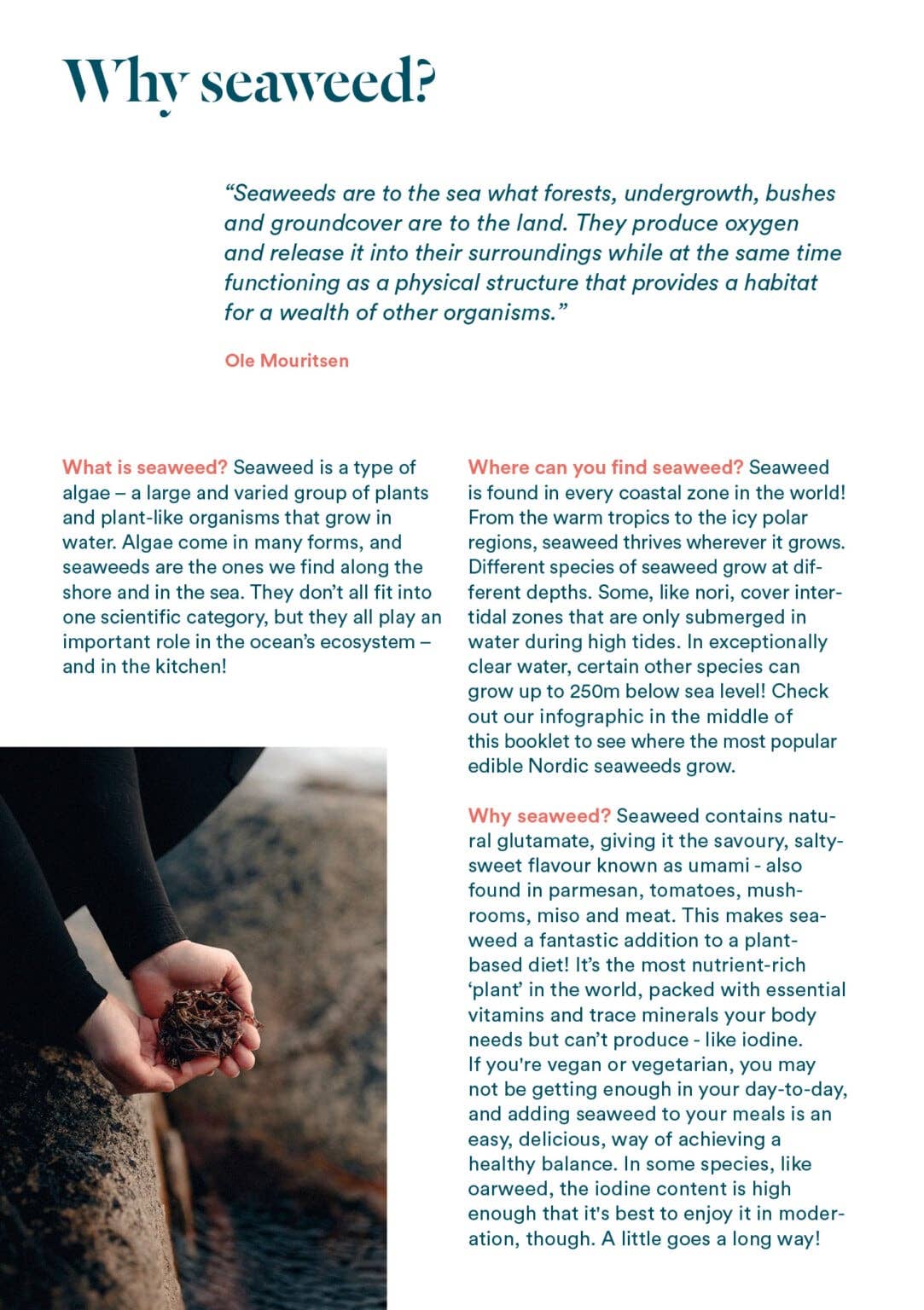 Lofoten Seaweed - Wholesale Book – Adult - Pick Your Own Seaweed – A Foragers Guide1