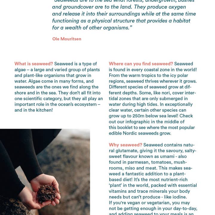 Lofoten Seaweed - Wholesale Book – Adult - Pick Your Own Seaweed – A Foragers Guide1