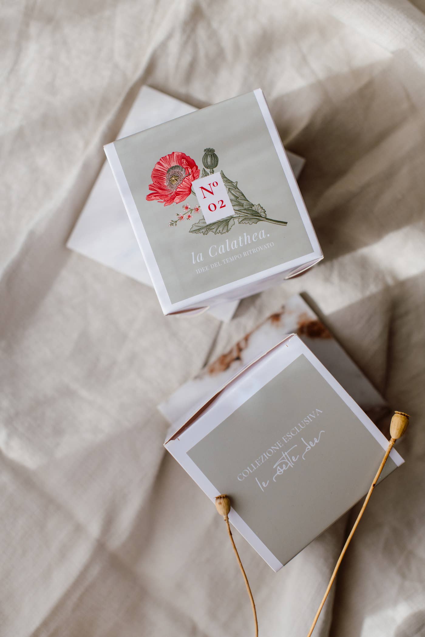 La Calathea - Vente Bougie en bocal - Bougie Candela Demetra5