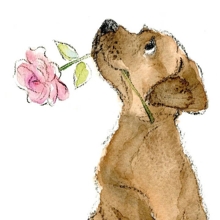 Paper Shed Design Ltd - Wholesale Everyday Greeting Card - Cute Dog Card - Blank - Chocolate Labrador With Pink Rose1