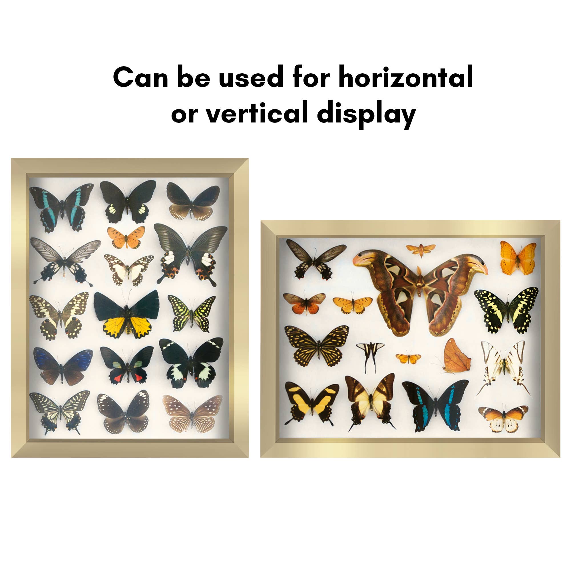 Americanflat - Wholesale Picture Frame - Americanflat Shadow Box Frame with Soft Felt Back63