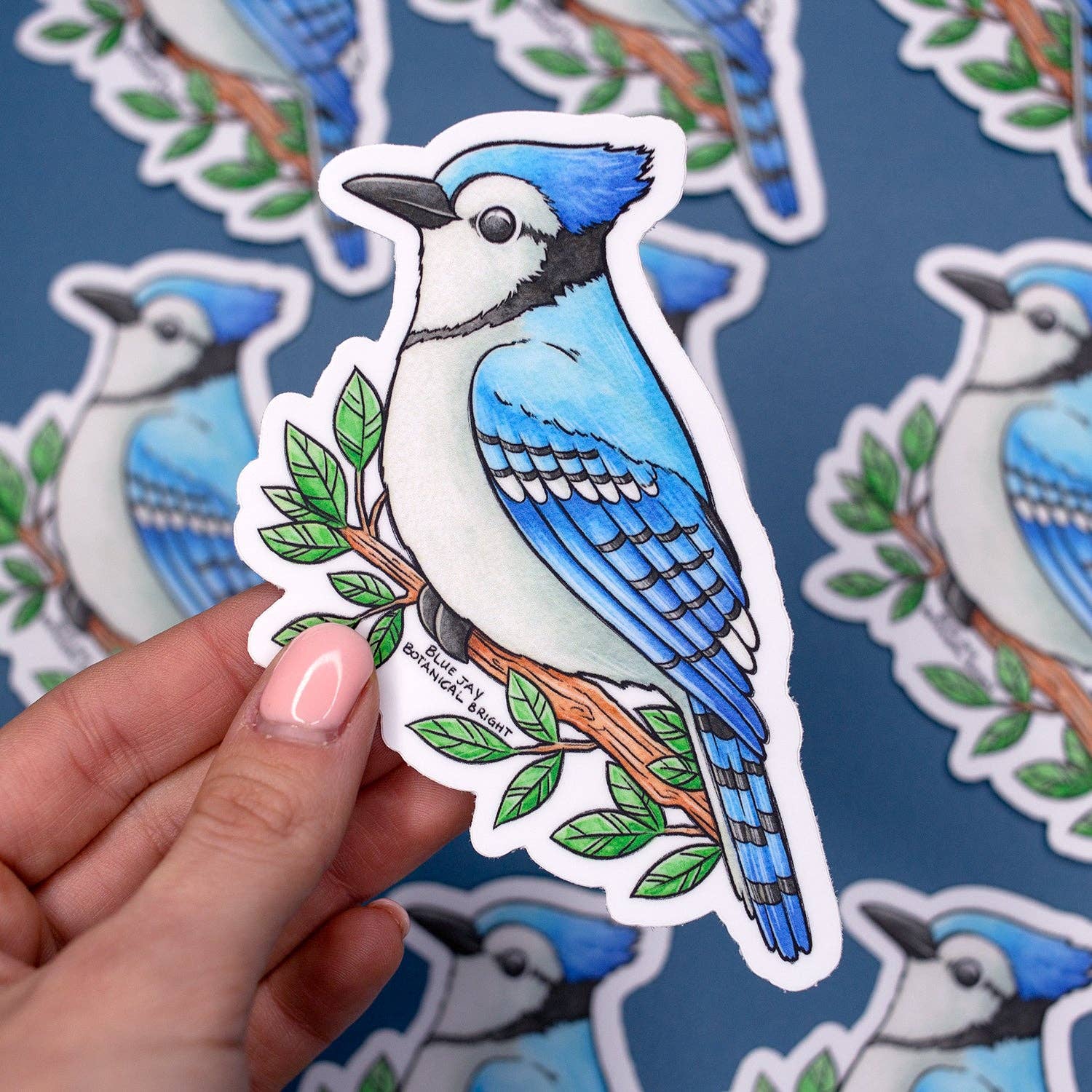 Botanical Bright - Wholesale Sticker - Blue Jay Waterproof Vinyl Sticker1