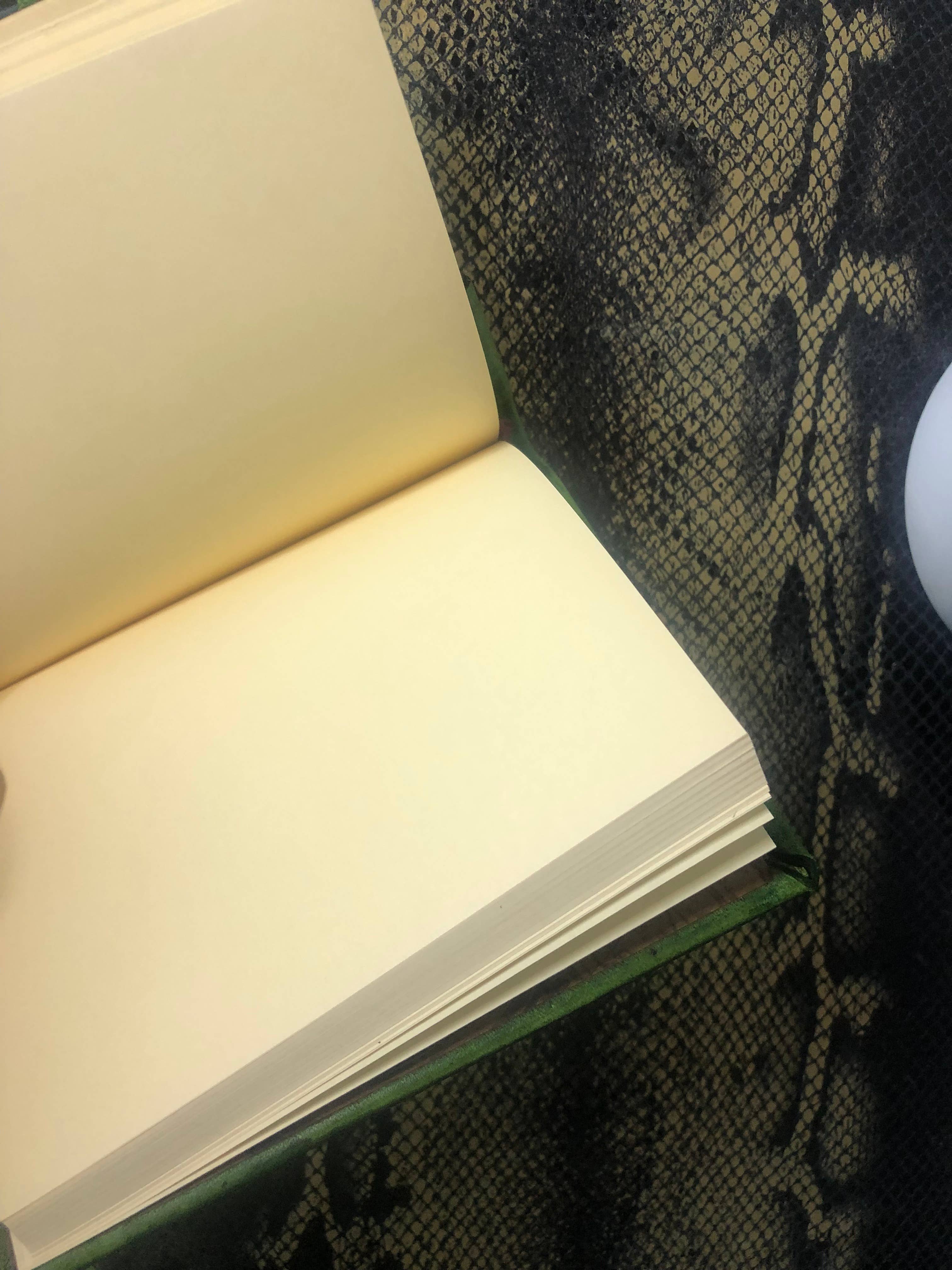 ML Marcaleather – wholesale Notebook – Dragonfly Mini Notebook Veg Tan Leather Diary4