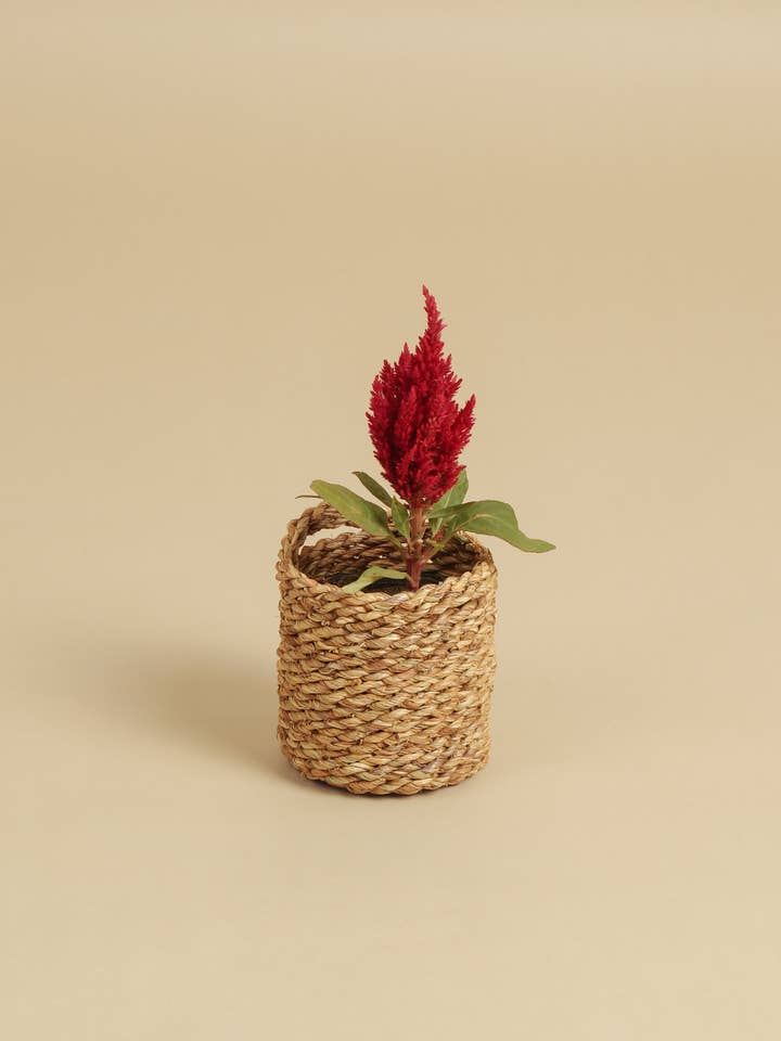 Halfa Handwoven Basket - Small for wholesale by SŪQ