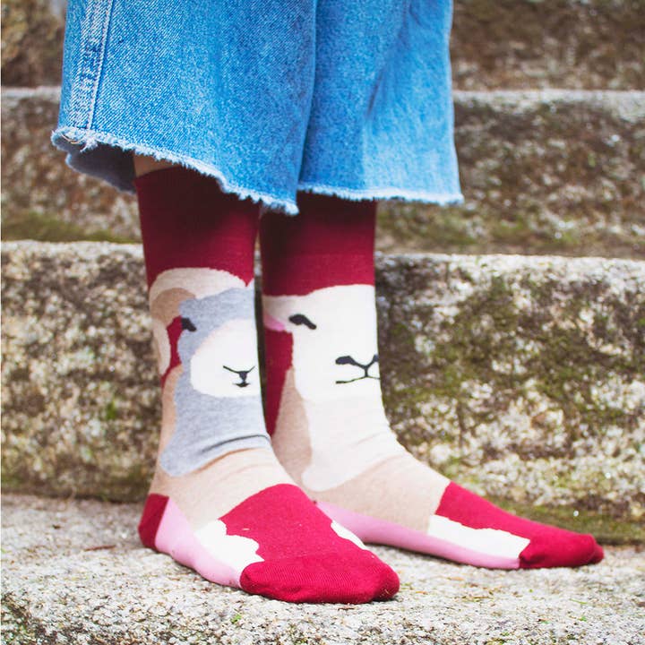Sheep and Ram Socks for wholesale by SomosOcéano