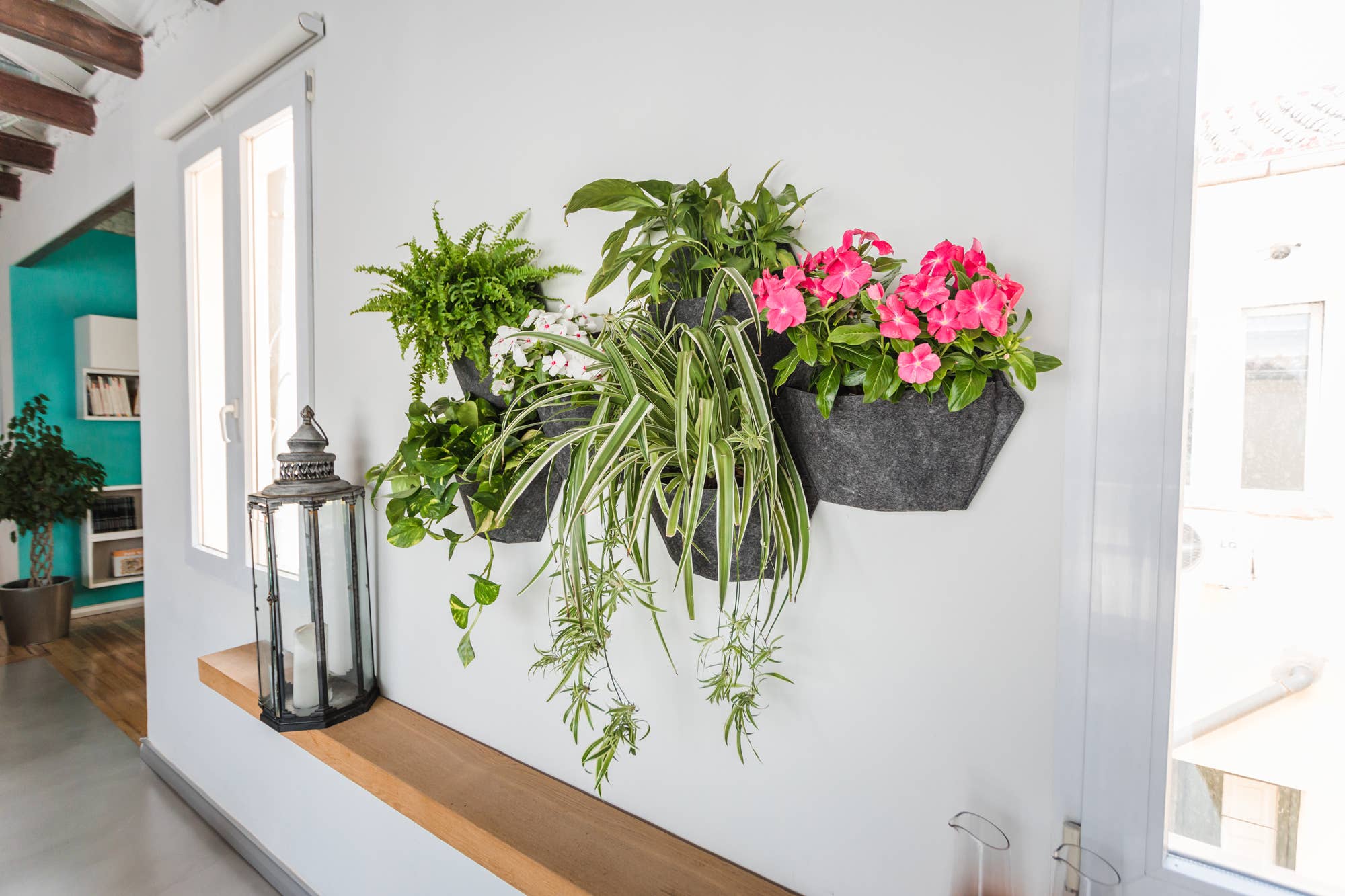 CitySens - Wholesale Wall Planter - CitySens Vertical Garden: Pack of 3 Wall Pots7