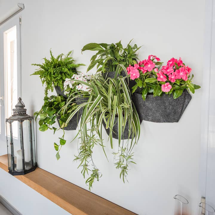 CitySens - Wholesale Wall Planter - CitySens Vertical Garden: Pack of 3 Wall Pots7