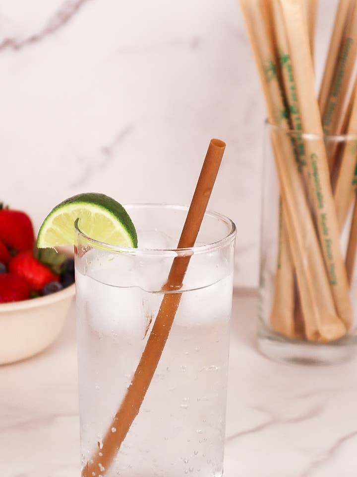 EarthStraws Standard (6mm) 8" Ind. Wrapped 2000/Case for wholesale by GreenTek Planet